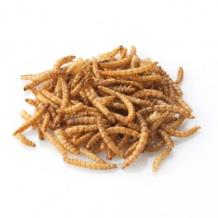 Gedroogde meelwormen 50 g